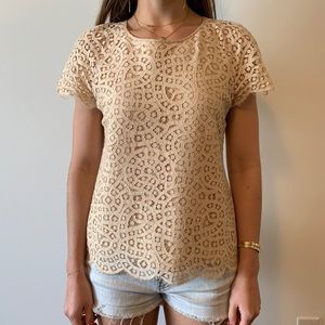 J Crew Lace Blouse